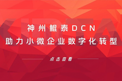 艾弗森贝博ballbet官网DCN助力小微企业数字化转型